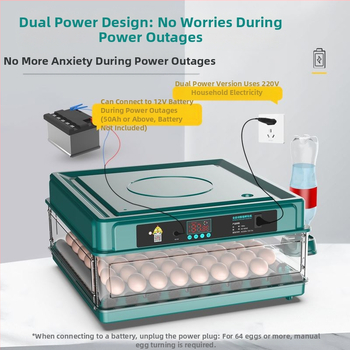 Εκκολαπτήριο αυγών – συμπαγές για οικιακή χρήση, αυτόματο και ευφυές, Wei Qian, IPX8 αδιάβροχο, χωρίς ενσωματωμένη μπαταρία