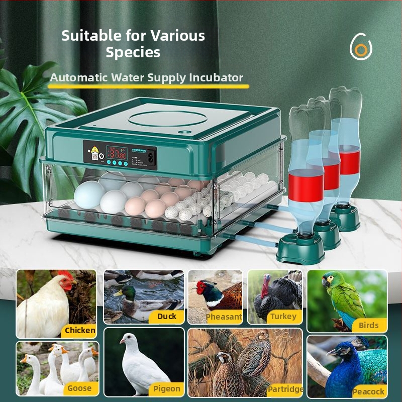 Inkubatorius – kompaktiems namų naudojimams, automatinis ir išmanus, Wei Qian prekės ženklas, IPX8 atsparus vandeniui, be įmontuotos baterijos