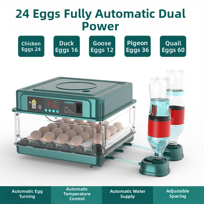 Incubator – mic pentru uz casnic, automat și inteligent, Wei Qian, IPX8 impermeabil, fără baterie încorporată