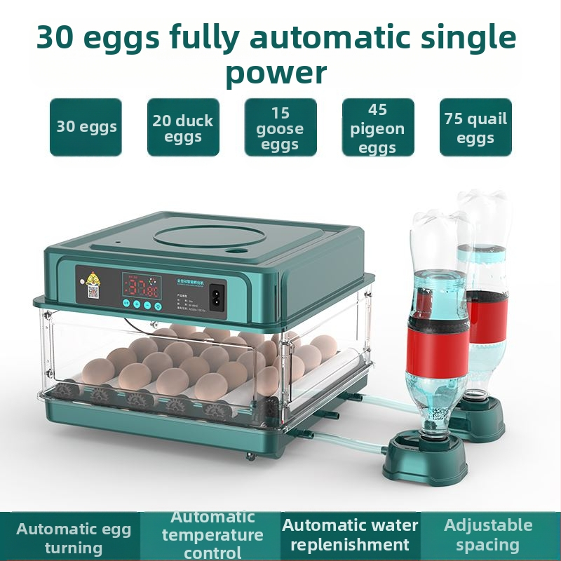 Incubator – mic pentru uz casnic, automat și inteligent, Wei Qian, IPX8 impermeabil, fără baterie încorporată