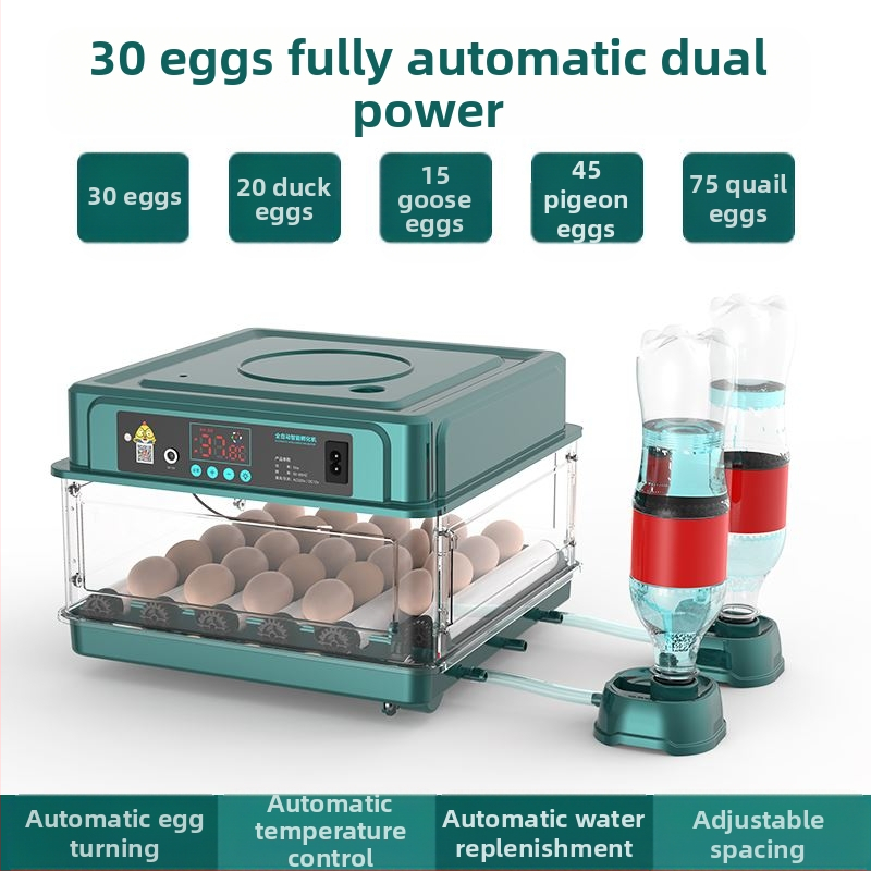 Incubator – mic pentru uz casnic, automat și inteligent, Wei Qian, IPX8 impermeabil, fără baterie încorporată