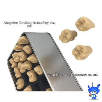 Μοντέλο οδοντικής χάραξης — μάρκα HDF, εγχώριο προϊόν, κωδικός 448037, Κατηγορία: Άλλα χημικά οδοντικής φροντίδας