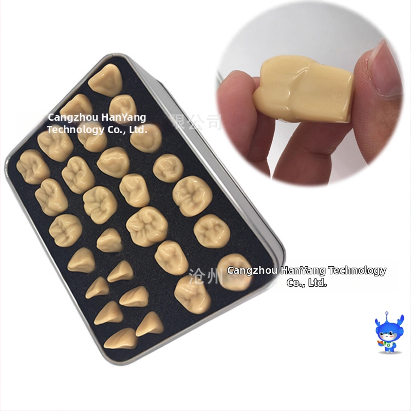 Дентален модел за резба на зъби — марка HDF, домашен производител, баркод 448037, Категория: Други химикали за орална грижа