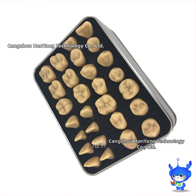 Дентален модел за резба на зъби — марка HDF, домашен производител, баркод 448037, Категория: Други химикали за орална грижа