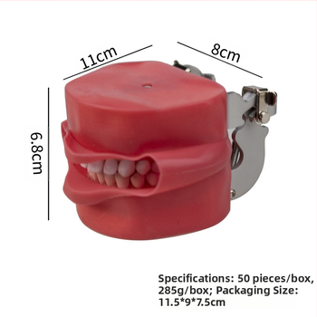 Обучителен модел за подготовка на зъби: пълен ред зъби с подвижни зъби и модел на лице за демонстрации, нето тегло 285 g