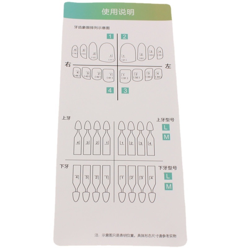 Форма за зъбни фасети; материал за естетични зъби; за горни и долни зъби; за възрастни