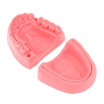 Μοντέλο εξάσκησης οδοντικών ραφών με σιλικόνη ενότητα δοντιών, χωρίς βάση, για εκπαίδευση ενηλίκων στην οδοντιατρική