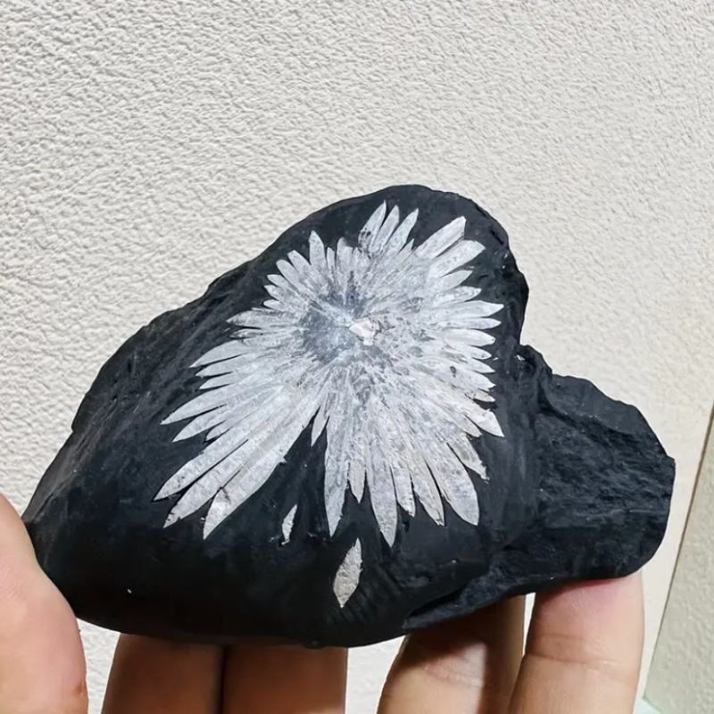 Λίθος Χρυσάνθεμο – κρυστάλλινο ορυκτό δείγμα, γεωμετρικού σχήματος επιτραπέζιο διακοσμητικό, μοντέρνο μινιμαλιστικό στυλ, PP σακούλα συσκευασία, ιδανικό για παιδικά εκπαιδευτικά δώρα