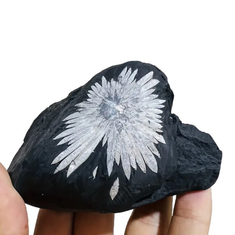 Λίθος Χρυσάνθεμο – κρυστάλλινο ορυκτό δείγμα, γεωμετρικού σχήματος επιτραπέζιο διακοσμητικό, μοντέρνο μινιμαλιστικό στυλ, PP σακούλα συσκευασία, ιδανικό για παιδικά εκπαιδευτικά δώρα