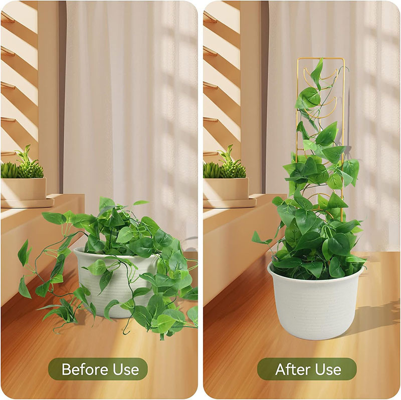 Kopimo rėmas augalams ir gėlių vazonėlių stovas, metalo/kalto geležies, kombinuotas naudojimas