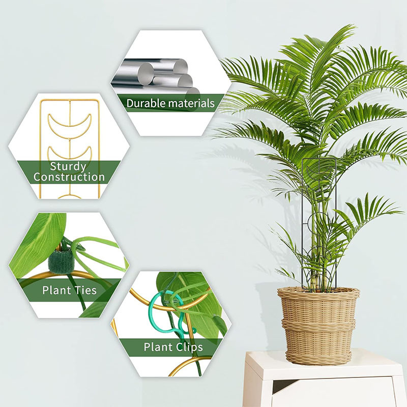 Kopimo rėmas augalams ir gėlių vazonėlių stovas, metalo/kalto geležies, kombinuotas naudojimas