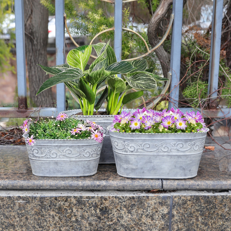 Cinkuotas plieninis gėlių vazonas – sieninis, stalinis arba grindų naudojimui; tinkamas namų dekorui ir sodui.