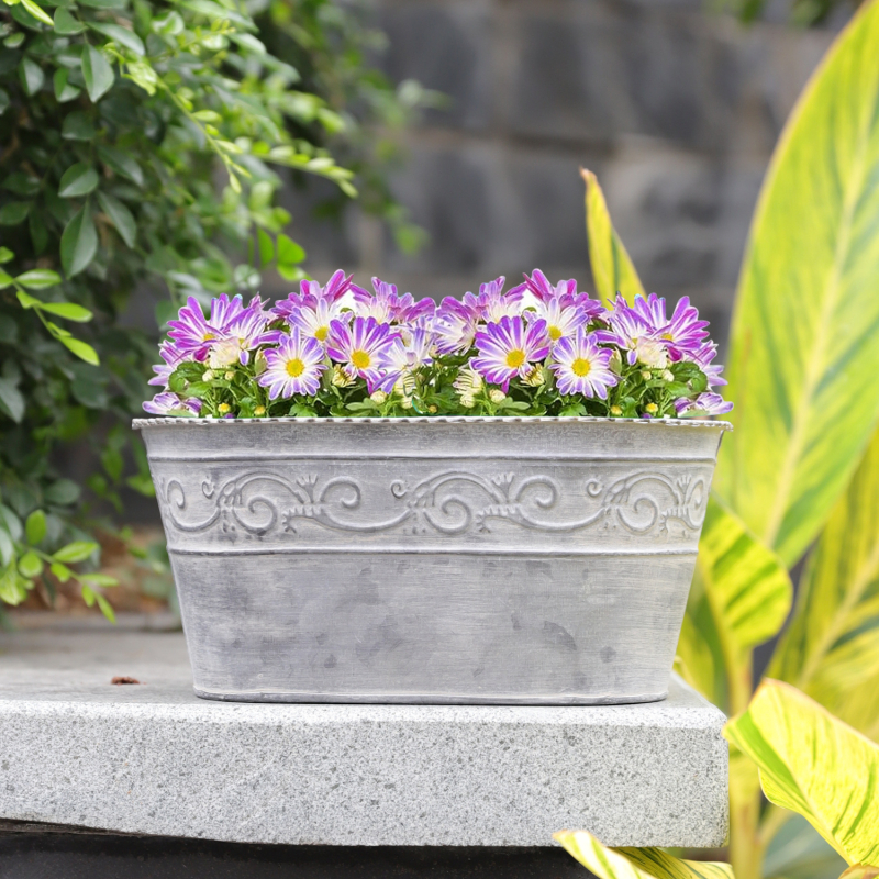 Cinkuotas plieninis gėlių vazonas – sieninis, stalinis arba grindų naudojimui; tinkamas namų dekorui ir sodui.