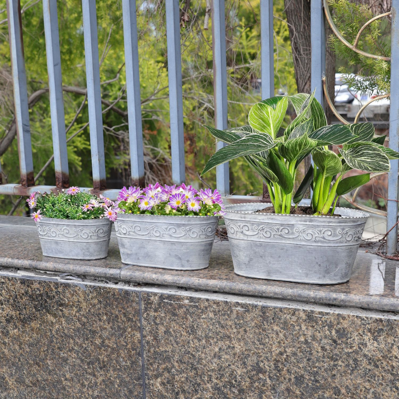 Cinkuotas plieninis gėlių vazonas – sieninis, stalinis arba grindų naudojimui; tinkamas namų dekorui ir sodui.