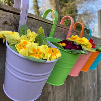 Qiko plieninis sieninis pakabinamas vazonas su pusapvaliu formu, skirtas lauko sodo dekorui