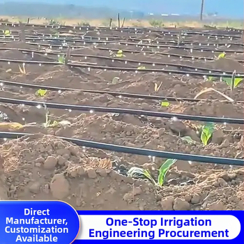 Patch-Type dviejų angų lašelinė drėkinimo juosta šiltnamiams (daržovės, paprikos, braškės) – Golden Autumn