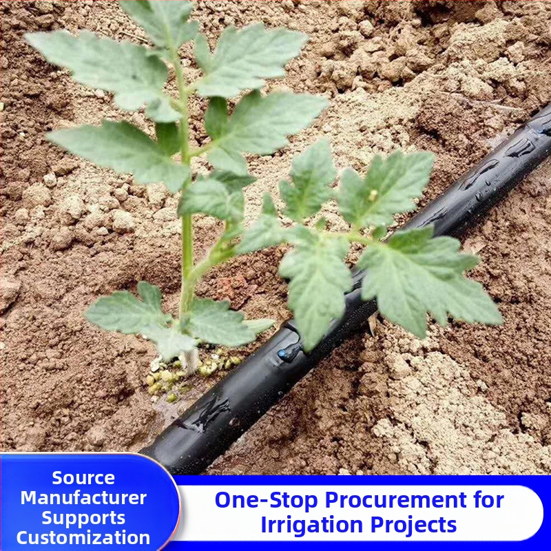 Двуотворна Patch-Type лента за капково напояване за оранжерийни култури (зеленчуци, чушки, ягоди) – Golden Autumn