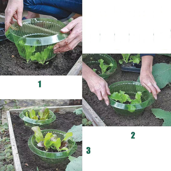 Daržovių apsauginė plėvelė vazoms – plastmasė, sraigių atbaidymas, vazų pagrindas, Noon prekinis ženklas