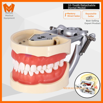 MEHO зъболекарски обучителен модел (модел на зъб) - ABS материал; за тренировка и обучение; кутия: 1 бр.