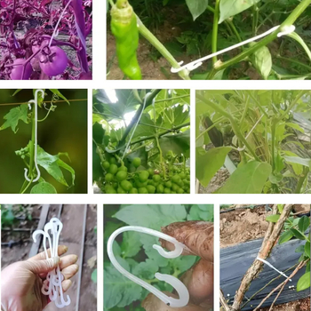 J-άγκιστρο για ντομάτες και άλλα φυτά (πλαστικό υλικό; μάρκα Bayes; κατάλληλο για φυτά, φρούτα και λαχανικά)
