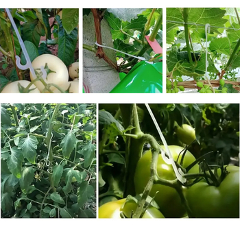 J-άγκιστρο για ντομάτες και άλλα φυτά (πλαστικό υλικό; μάρκα Bayes; κατάλληλο για φυτά, φρούτα και λαχανικά)