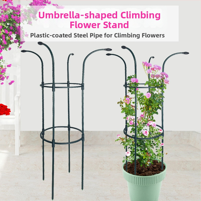 Чадърен държач за цветя за катеращи растения, външна градинска рамка, опора за рози и клематис, диаметър на тръбата 11 мм