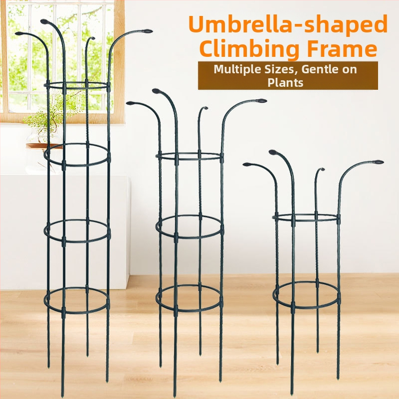 Чадърен държач за цветя за катеращи растения, външна градинска рамка, опора за рози и клематис, диаметър на тръбата 11 мм