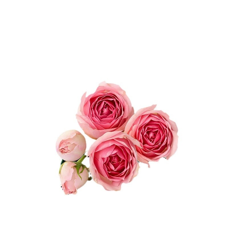 Fém futónövény-keret, pasztorális stílus, padlón álló