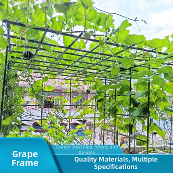 Σιδερένια κηπουρική αναρριχητική στήριξη για εξωτερικό μπαλκόνι — κατάλληλο για αναρριχητικά φυτά