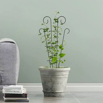 Μεταλλικό πλαίσιο αναρρίχησης φυτών, εσωτερικό στήριγμα λουλουδιών και πλαίσιο οθόνης/διαχωριστικό; υλικό: μέταλλο/σιδηρό χάλυβα; τύπος: πλαίσιο αναρρίχησης και πλαίσιο οθόνης; μάρκα: Huanghua xinze iron art; κατάλληλο για γλάστρες κήπου και στηρίγματα λου