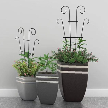 Μεταλλικό πλαίσιο αναρρίχησης φυτών, εσωτερικό στήριγμα λουλουδιών και πλαίσιο οθόνης/διαχωριστικό; υλικό: μέταλλο/σιδηρό χάλυβα; τύπος: πλαίσιο αναρρίχησης και πλαίσιο οθόνης; μάρκα: Huanghua xinze iron art; κατάλληλο για γλάστρες κήπου και στηρίγματα λου