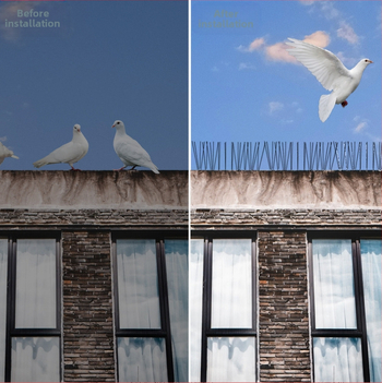 Балконни антиптичи шипове – модел 223, пластмаса и неръждаема стомана, защита срещу птици