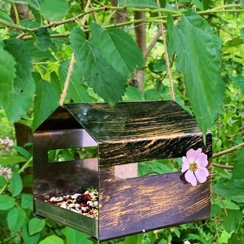 Geležinė kabinama lesyklėlė paukšiams su automatiniu maitinimu lauke sode