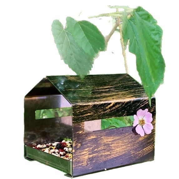 Geležinė kabinama lesyklėlė paukšiams su automatiniu maitinimu lauke sode