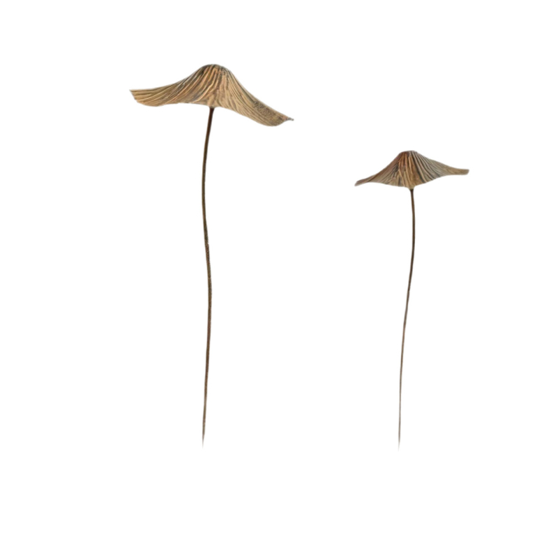 Διακοσμητικό μανιτάρι με μακρύ στέλεχος, χυτοσίδηρος, παραδοσιακός αγροτικός εξωτερικός διακοσμητικό κήπου