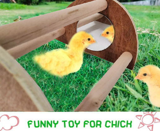 Fából készült tükörös madárállvány papagájok és kismadarak számára — Márka Constant Purple; Import: Nem; Engedélyezett magánmárkák: Igen.