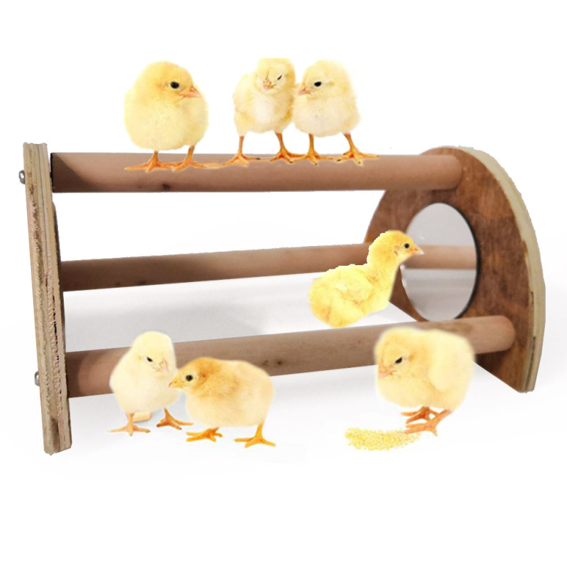 Fából készült tükörös madárállvány papagájok és kismadarak számára — Márka Constant Purple; Import: Nem; Engedélyezett magánmárkák: Igen.