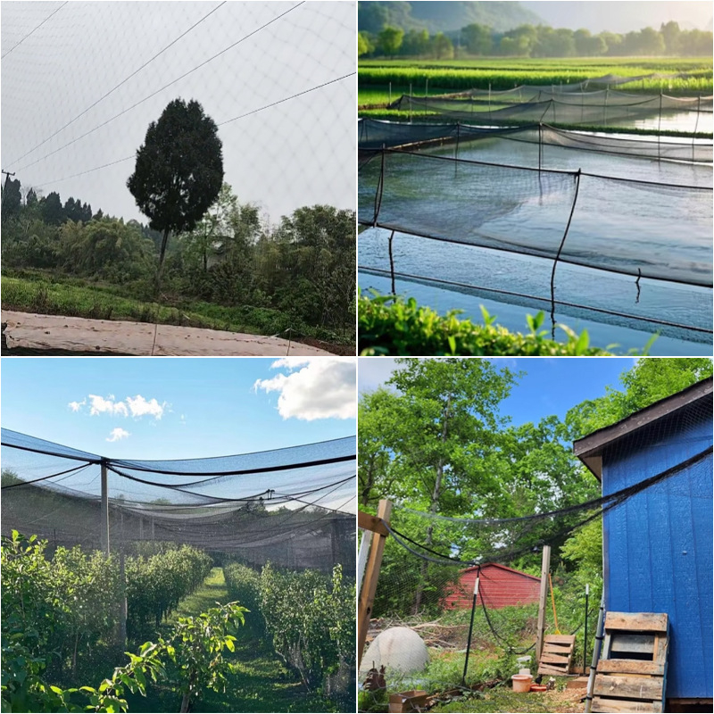 Мрежа против птици за плодова градина — полиестерна, селскостопанска употреба
