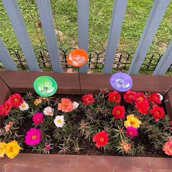 Congqi Πλαστικός σταθμός ποτίσματος μελισσών, με ποτίστρα πεταλούδων και μαρμάρινες χάντρες