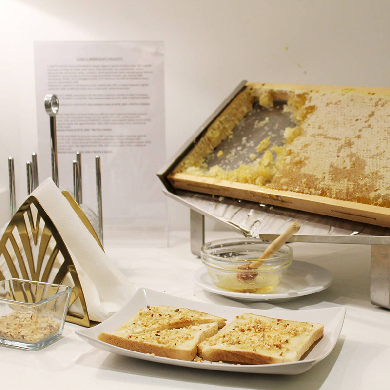 Bitininkystės įrankiai – nerūdijantis plienas, avilio medaus lentyna, modelis BH-021, bitininkystei, sausas laikymas kambario temperatūroje