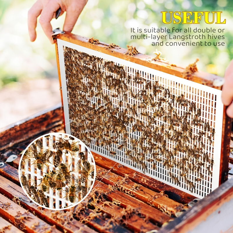 Πλαστική πλάκα απομόνωσης βασίλισσας μέλισσας (excluder) για μελισσοκομία — 6 τεμάχια, κατάλληλη για ιταλικές μέλισσες
