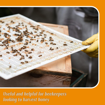 Εργαλεία μελισσοκομίας – Πλαστική πλάκα εξαγωγής/απομόνωσης βασίλισσας για κυψέλες, διαχωρισμός βασίλισσας και υποστήριξη εκτροφής