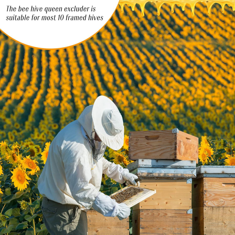 Пчеларски инструменти – пластмасова дъска за изключване на кралицата в кошерите, разделяне на кралица и развъждане