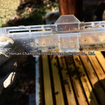Παγίδα για σκαθάρια σε κυψέλες μελισσοκομίας, παγίδα φωλιάς για μικρά σκαθάρια
