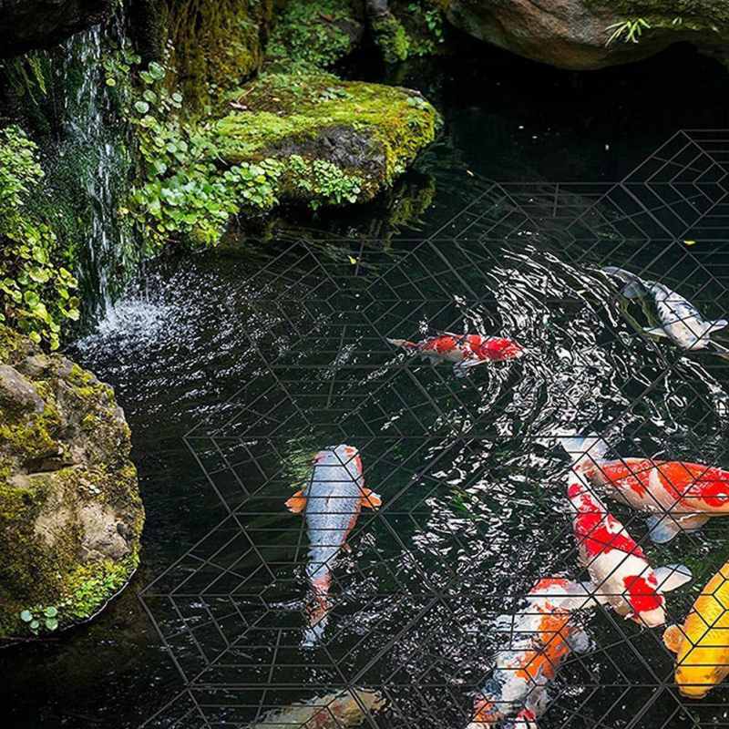 JY Nailono šešiakampis tvenkinio tinklas, 20 vienetų komplektas, apsauginis tinklas žuvininkystei