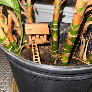 Μίνι ξύλινο σπιτάκι για φυτά — διακοσμητικό γλάστρας, πεύκο, ξύλινη κατασκευή, αγροτικό στυλ