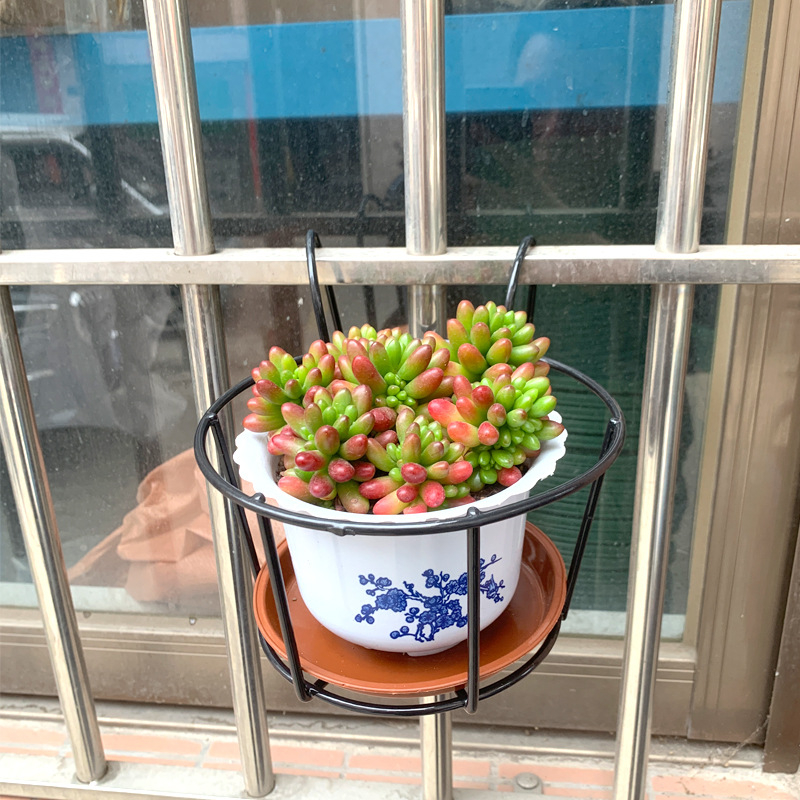 Vas virágállvány, falra szerelhető, egyszerű stílus