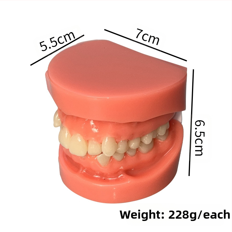Дентален зъбен модел за демонстрация на малоклузия и ортодонтско обучение (Марка: Leap to the courage; За възрастни; 100 броя; Хебей)