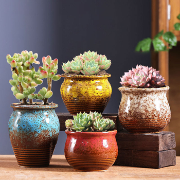 Keraminis vazonėlis sukulentams, kvėpuojantis ir tvirtas, aukštatemperatūroje degintas, staliniam ar grindų naudojimui