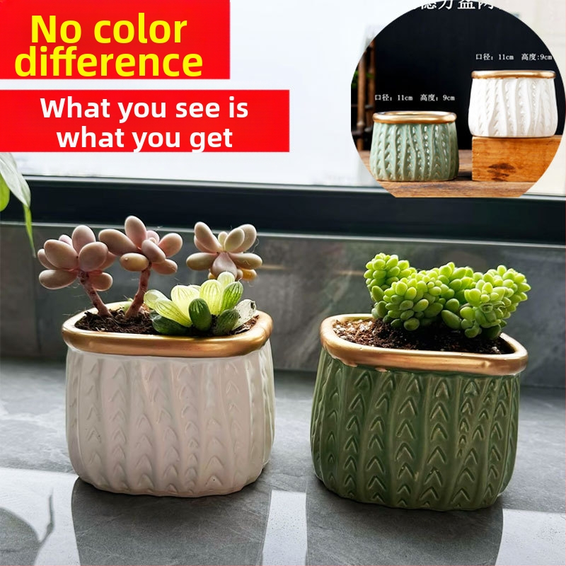 Сукулентова керамична саксия, дишаща и устойчива, изпичана при висока температура, настолен или подов монтаж